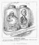 �Preserved Lumber�